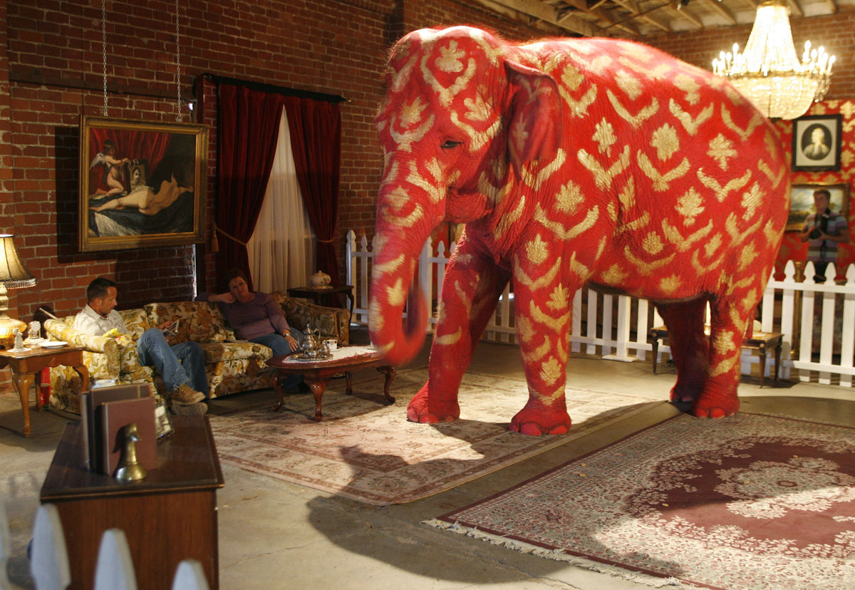 Современная живопись. Бэнкси. Раскрашенный слон на выставке Barely Legal