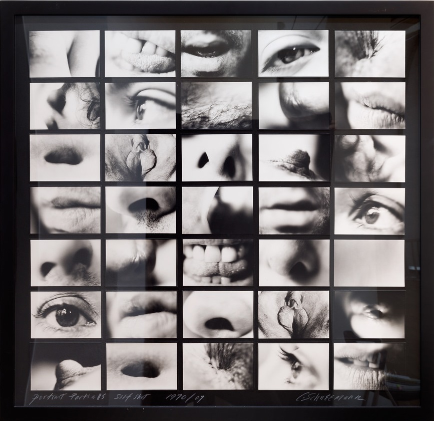 Portrait Partials, 1970. Автопортрет Кароли Шниманн (Carolee Schneemann) - современная американская художница. Искусство США. Феминистское искусство, арт-феминизм