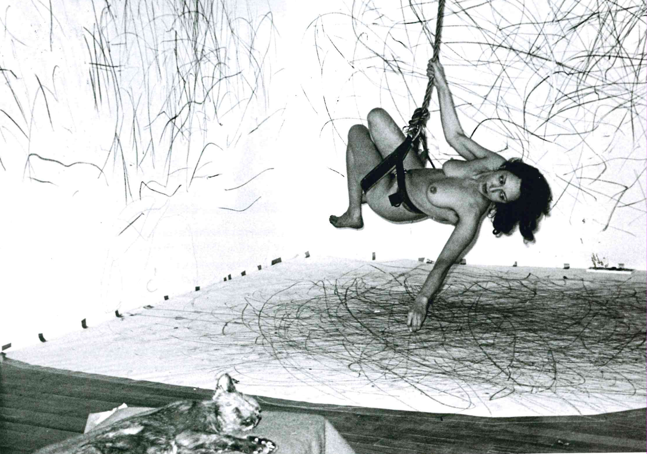 Up to and Including Her Limits, 1973-76. Кароли Шниманн (Carolee Schneemann) - современная американская художница. Искусство США. Феминистское искусство, арт-феминизм