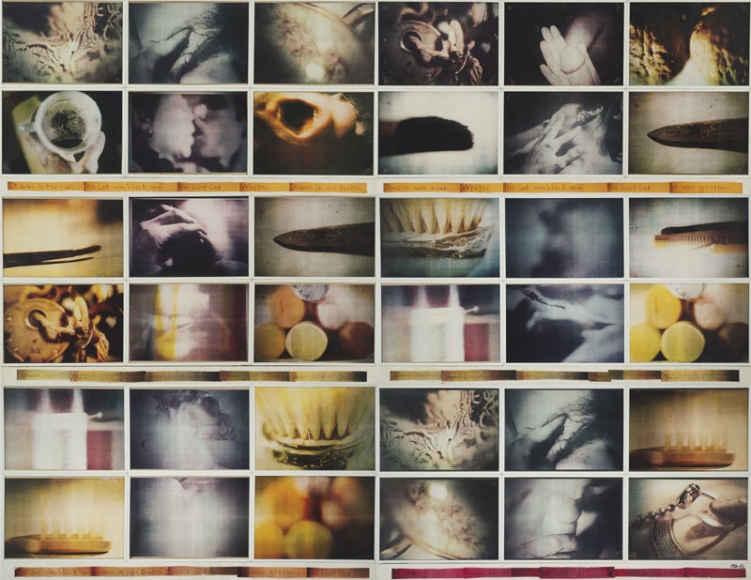Saw Over Want, 1980-82. Кароли Шниманн (Carolee Schneemann) - современная американская художница. Искусство США. Феминистское искусство, арт-феминизм