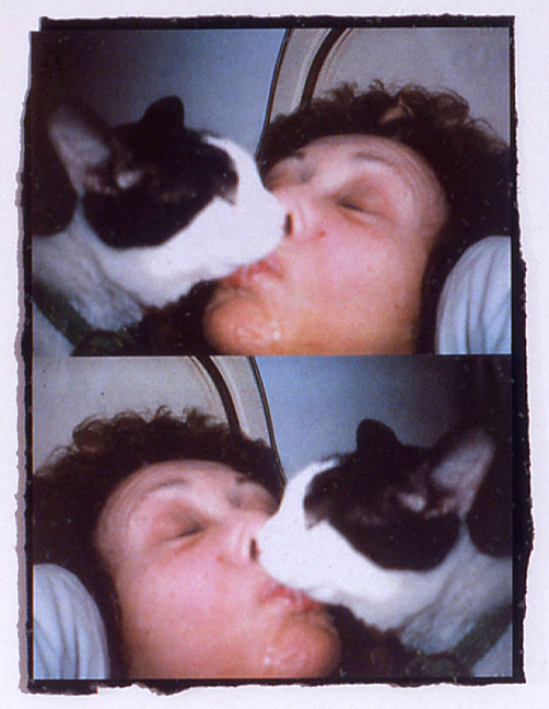 Фрагмент Infinity kisses (1981-87). Кароли Шниманн (Carolee Schneemann) - современная американская художница. Искусство США. Феминистское искусство, арт-феминизм