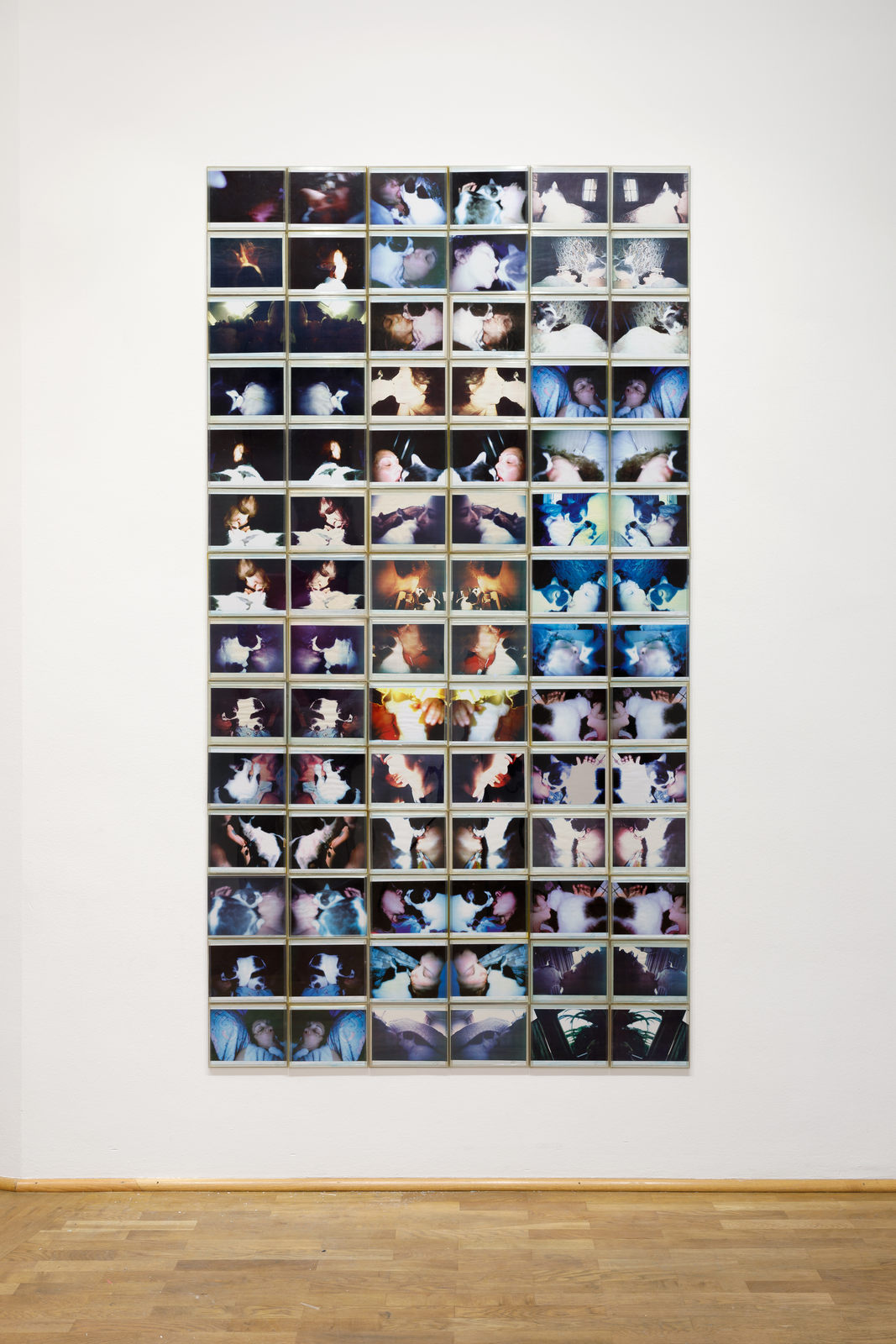Infinity kisses, 1981-87. Кароли Шниманн (Carolee Schneemann) - современная американская художница. Искусство США. Феминистское искусство, арт-феминизм