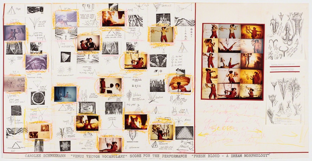Venus Vector Vocabulary, 1990. Кароли Шниманн (Carolee Schneemann) - современная американская художница. Искусство США. Феминистское искусство, арт-феминизм