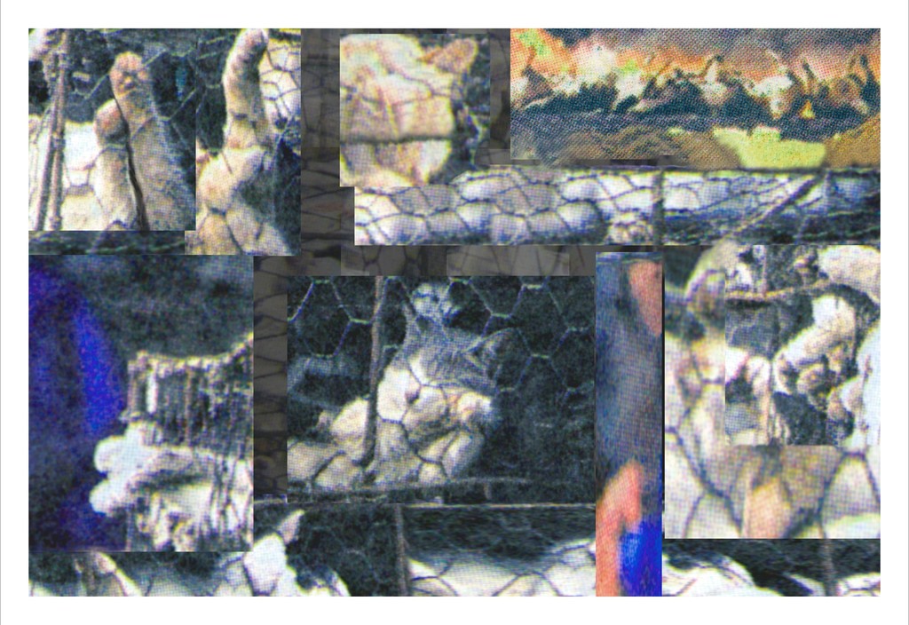 Caged Cats I (коллаж), 2005. Кароли Шниманн (Carolee Schneemann) - современная американская художница. Искусство США. Феминистское искусство, арт-феминизм