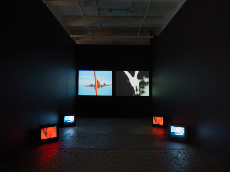 Devour (инсталляция), 2007. Кароли Шниманн (Carolee Schneemann) - современная американская художница. Искусство США. Феминистское искусство, арт-феминизм