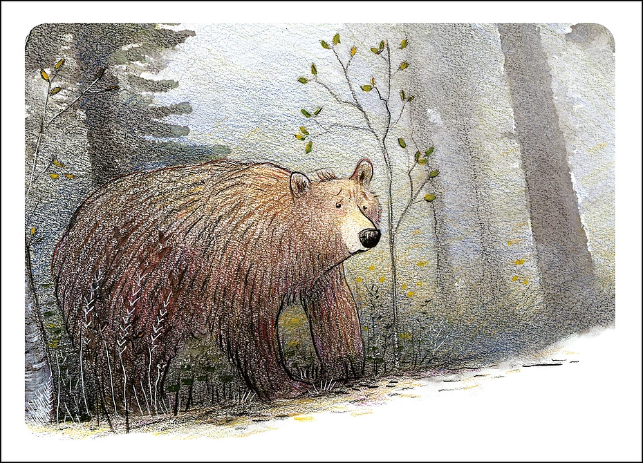 Бурый медведь. Иллюстрация. Картинка. Эрин Эиттер Коно (Erin Eitter Kono) - современная американская художница. Современная живопись США