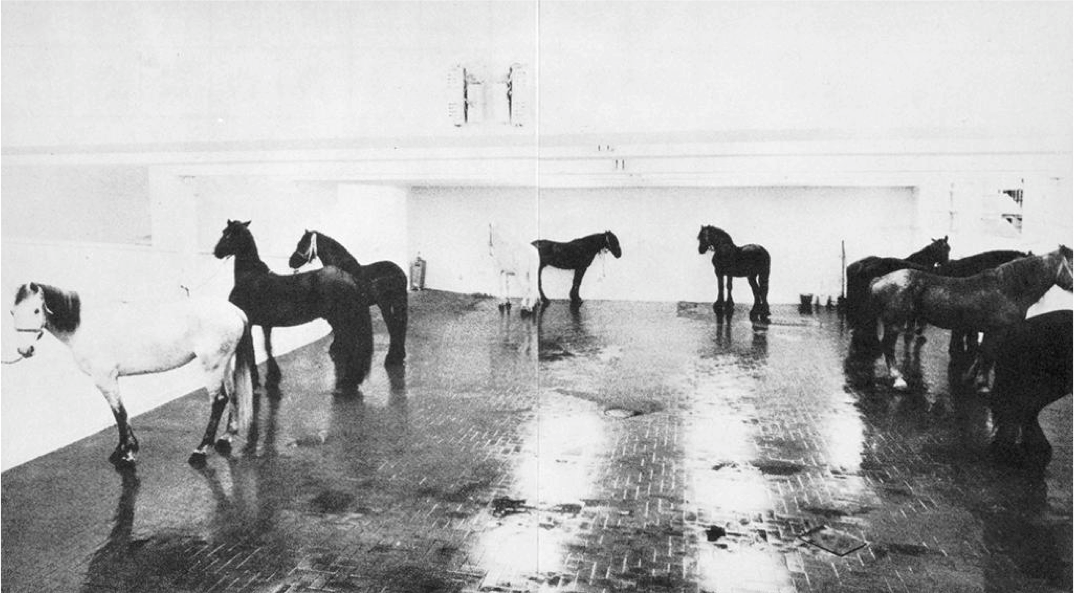 Яннис Кунеллис. Современное искусство. 12 Live Horses - 12 живых лошадей