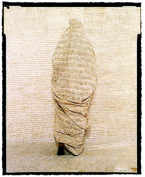 Converging Territories (Сходящиеся территории), 2003–04. Лалла Эссейди (Lalla Essaydi) - марокканский фотограф. Современная арабская фотография