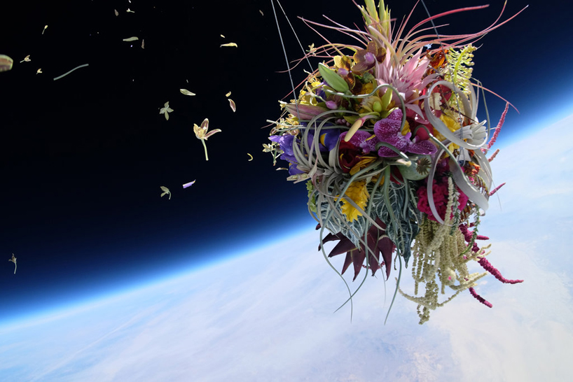 Exobiotanica, 2014 (растения в космосе, фото). Макото Азума (Makoto Azuma) - современный японский художник-флорист. Скульптуры из цветов. Инсталляции с цветами. Цветы в искусстве