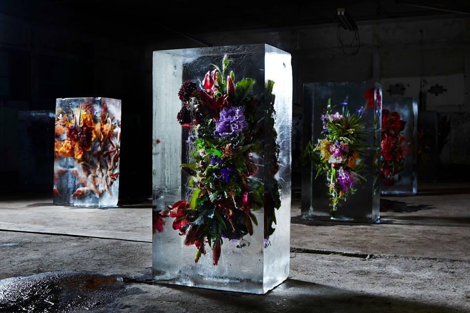 Iced Flowers, 2015. Макото Азума (Makoto Azuma) - современный японский художник-флорист. Скульптуры из цветов. Инсталляции с цветами. Цветы в искусстве