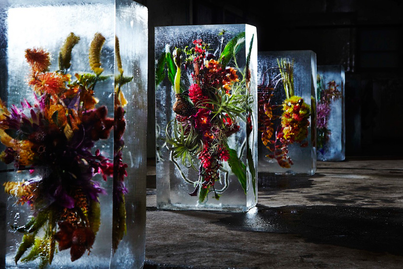 Iced Flowers, 2015. Макото Азума (Makoto Azuma) - современный японский художник-флорист. Скульптуры из цветов. Инсталляции с цветами. Цветы в искусстве