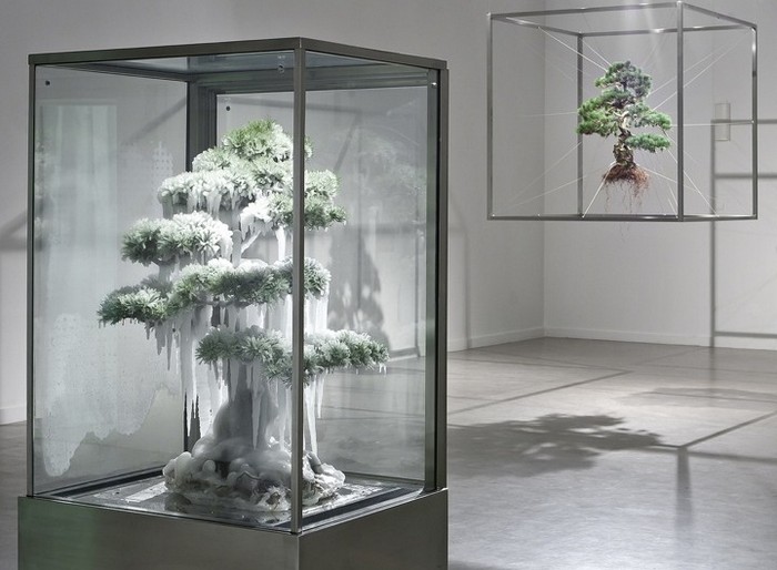 Скульптуры из деревьев бонсай. Макото Азума (Makoto Azuma) - современный японский художник-флорист. Скульптуры из цветов. Инсталляции с цветами. Цветы в искусстве