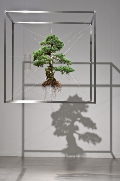 Скульптуры из деревьев бонсай. Макото Азума (Makoto Azuma) - современный японский художник-флорист. Скульптуры из цветов. Инсталляции с цветами. Цветы в искусстве