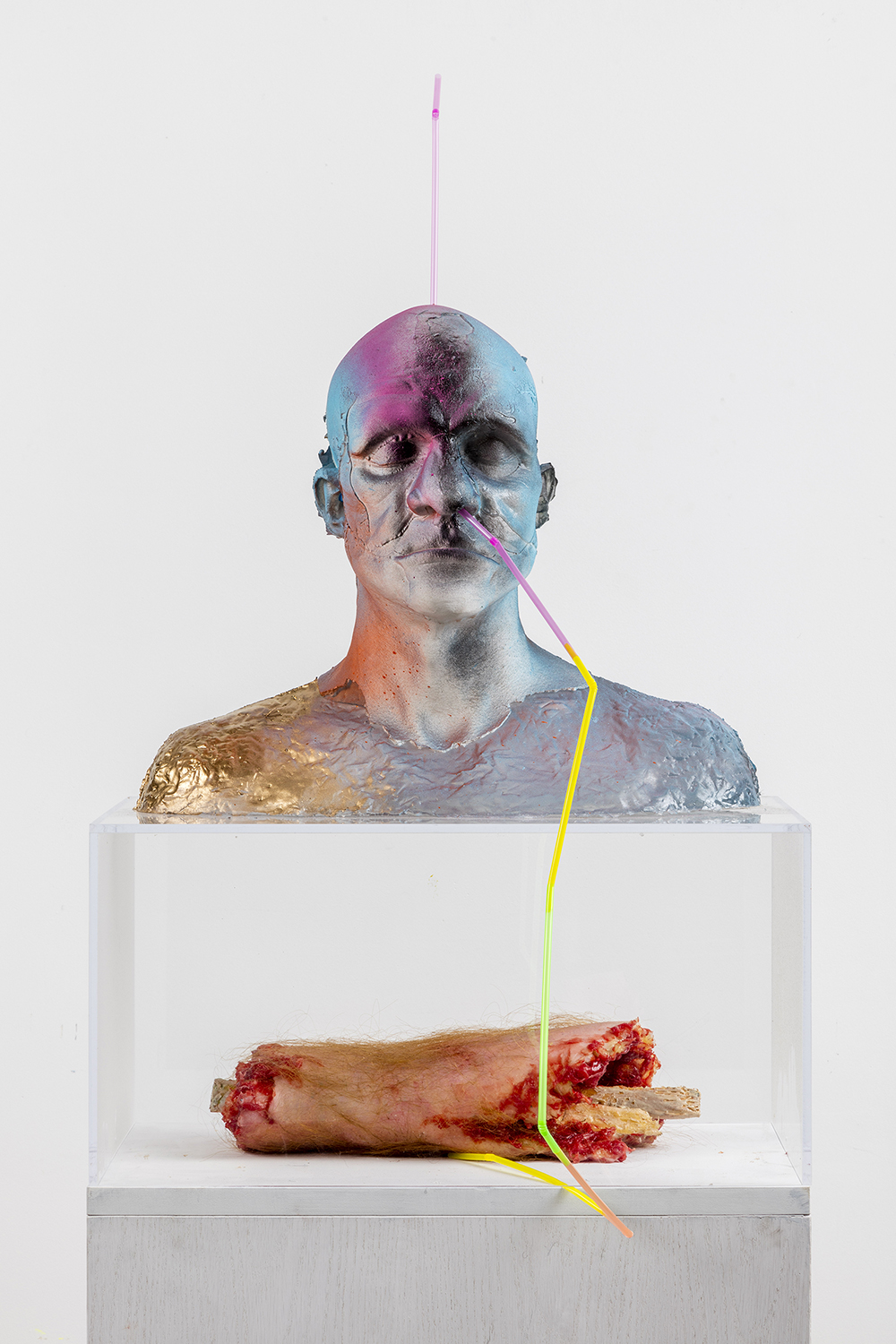 Gold Brain System (2016). Натаниел Меллорс (Nathaniel Mellors) - современный британский художник, автор инсталляций, скульптор, музыкант
