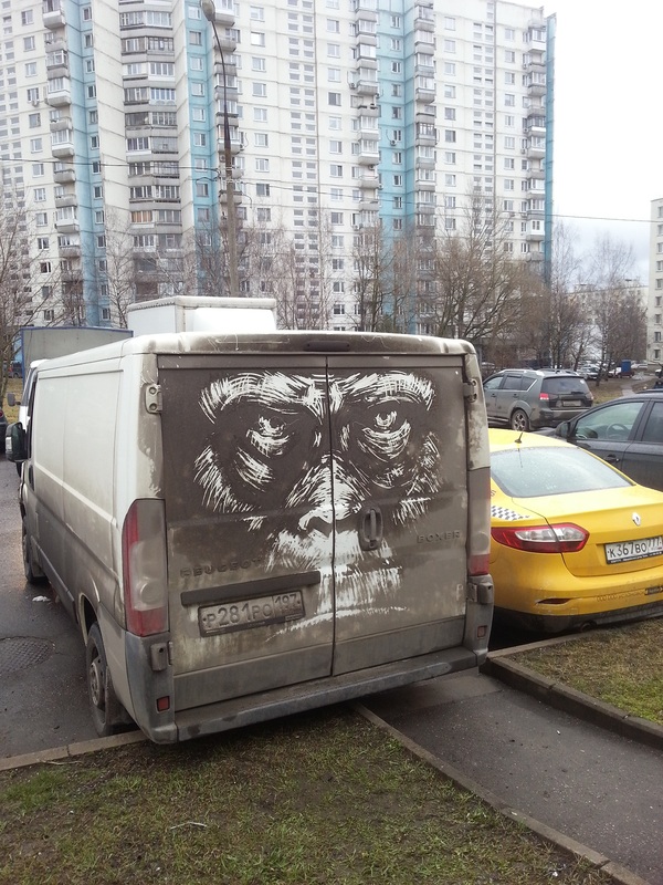 Никита Голубев (Nikita Golubev). Картины на грязных машинах - Pictures on dirty cars