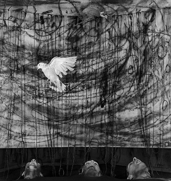 Современное искусство. Роджер Баллен. Asylum of the Birds