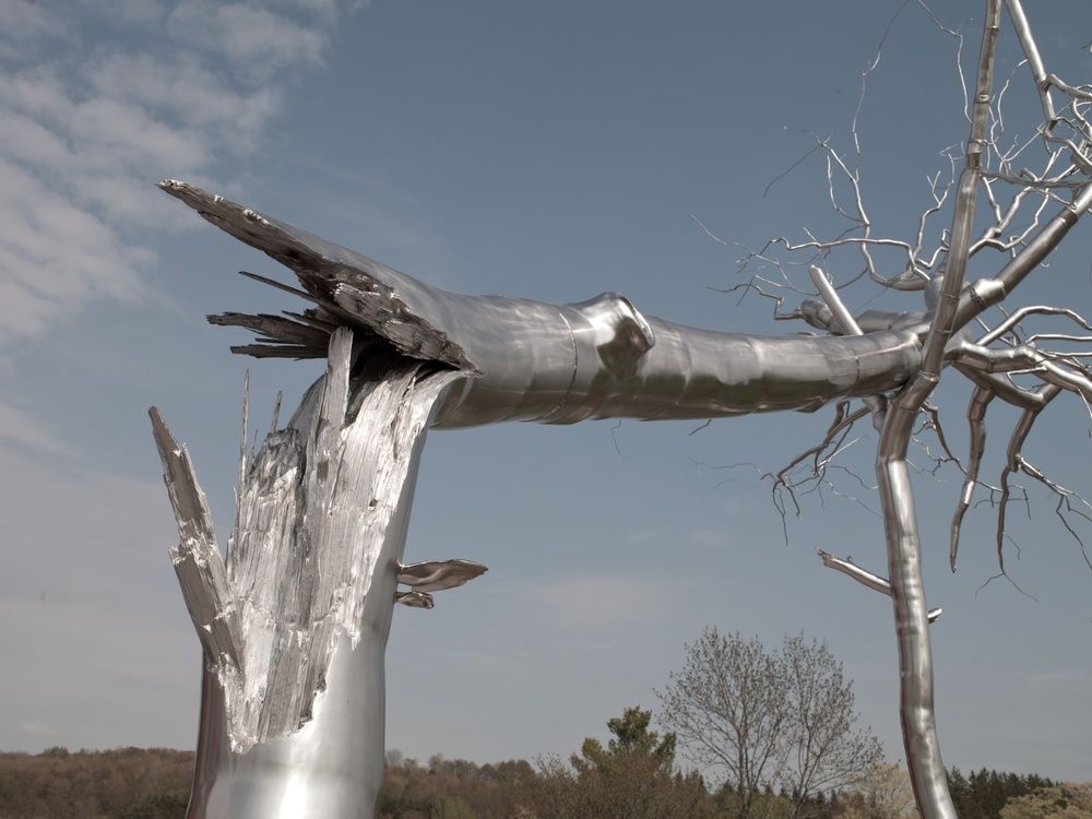 Symbiosis, 2011. Рокси Пейн (Roxy Paine) - современный американский скульптор. Современное искусство США, современная скульптура. Дендройд