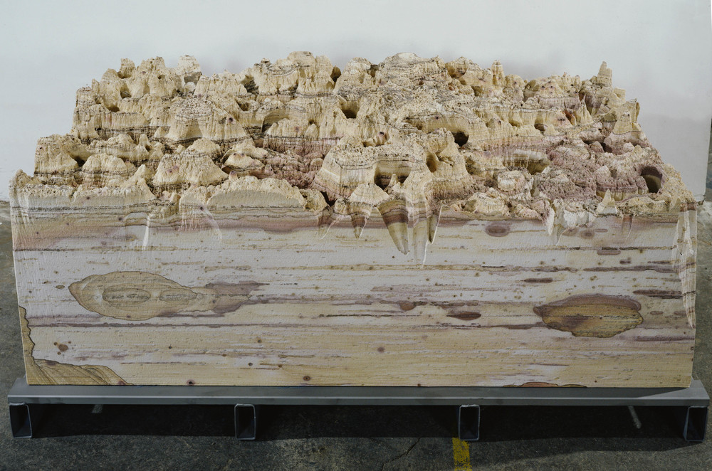Erosion Machine, 2005. Рокси Пейн (Roxy Paine) - современный американский скульптор. Современное искусство США, современная скульптура