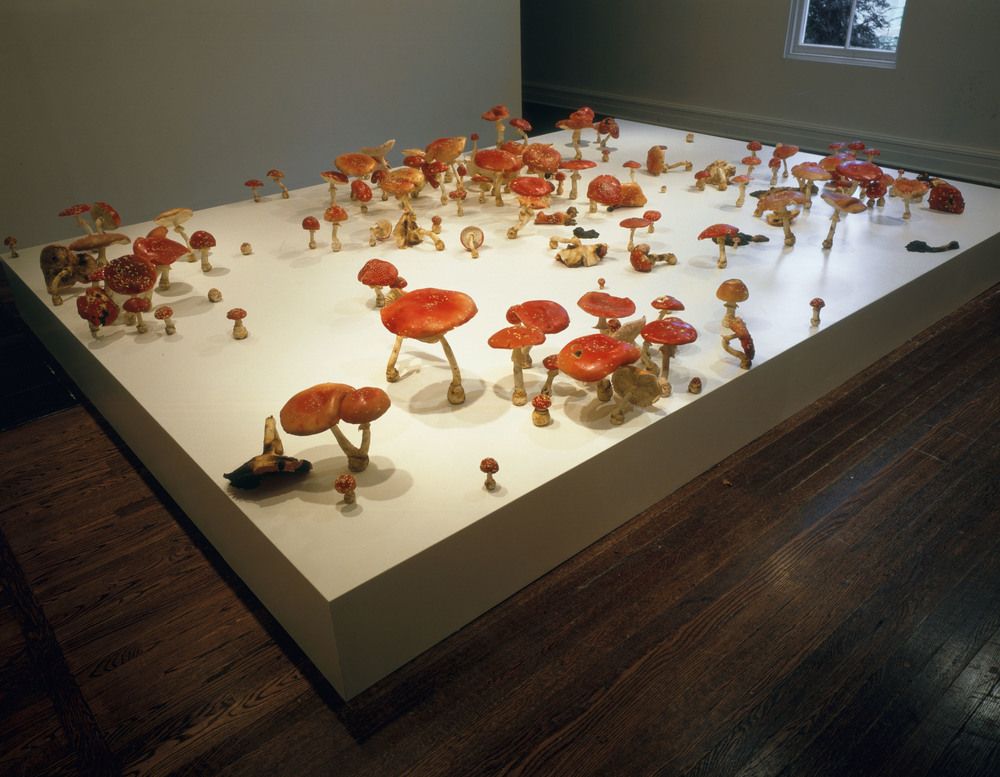 Amanita Muscaria Field, 2000 (грибы в искусстве). Рокси Пейн (Roxy Paine) - современный американский скульптор. Современное искусство США, современная скульптура