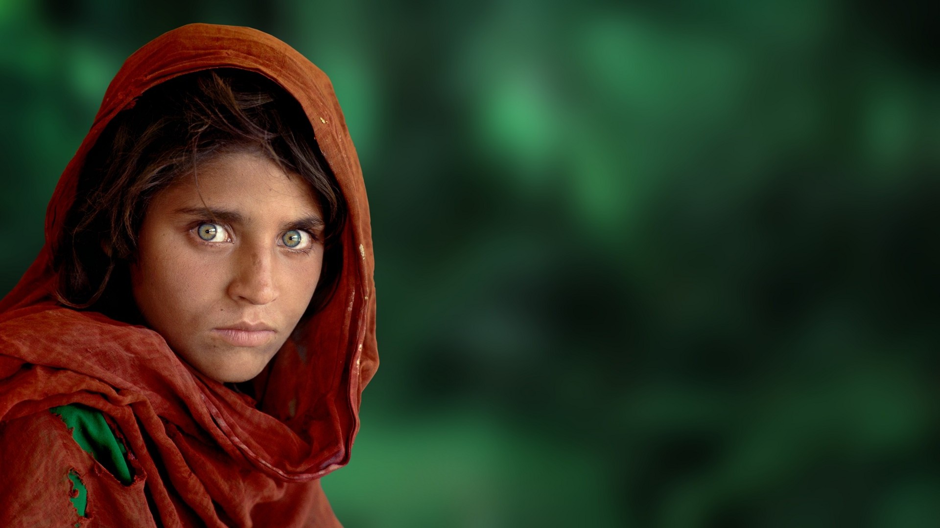 Стив Маккарри (Steve McCurry). Фотография для National Geographic. Афганская девочка. Шарбат Гула. Военная фотография