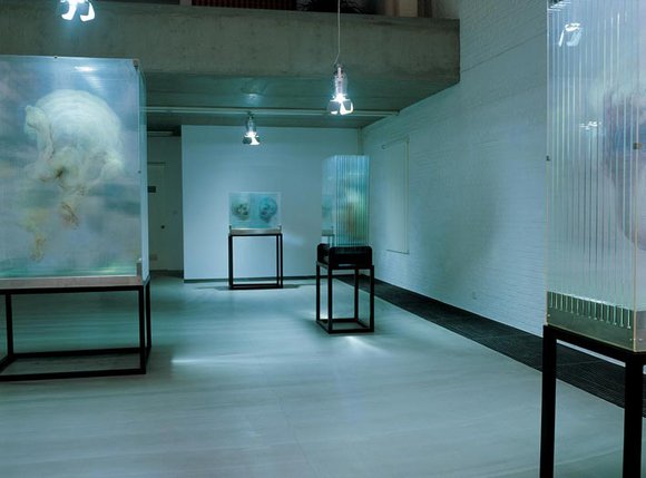 Живописные скульптуры в стекле. Выставка современного искусства. Ся Сяован (Xia Xiaowan) - современный китайский художник, 3D-график. Современное искусство Китая, КНР